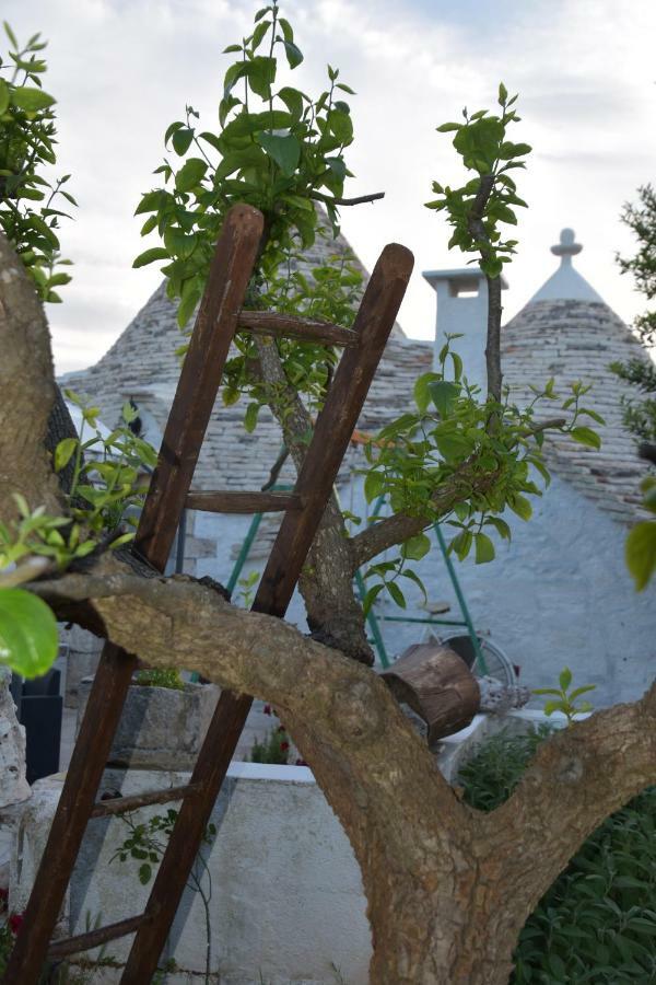Trulli Di Una Volta 알베르벨로 외부 사진